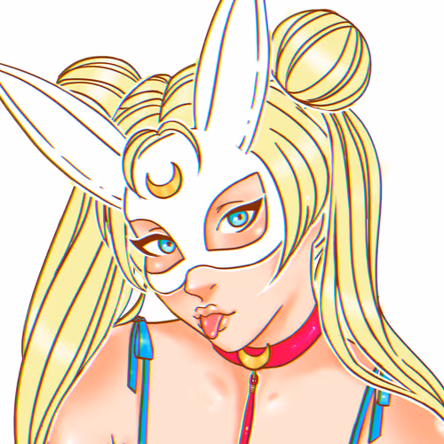 Adult Sailor Moon Collection - old