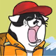 adventurer yawning cat