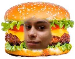 adventures of dakota