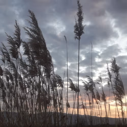 Adventures of the Photography