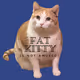 Adventures of Fat Kitty