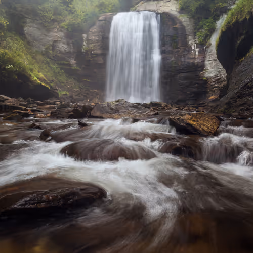 aerowolfe Collection - old