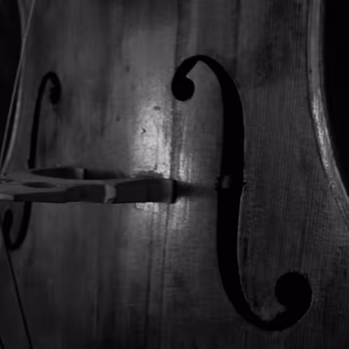 AffluentFreak Collection