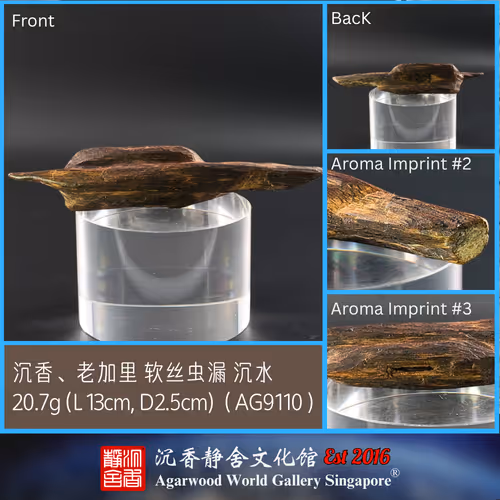 Agarwood Deco Aged-Kalimantan Soft Oil Ant Hole Sinking (AG9110)