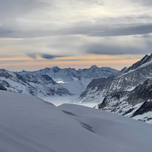 Age of Mortals Collections #200420140