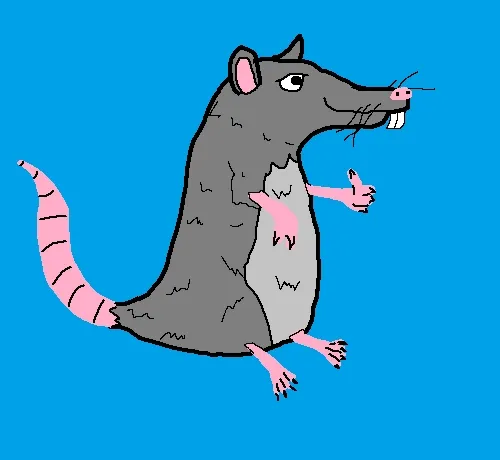 Agreeing rats headquarters