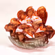 AI Food - old