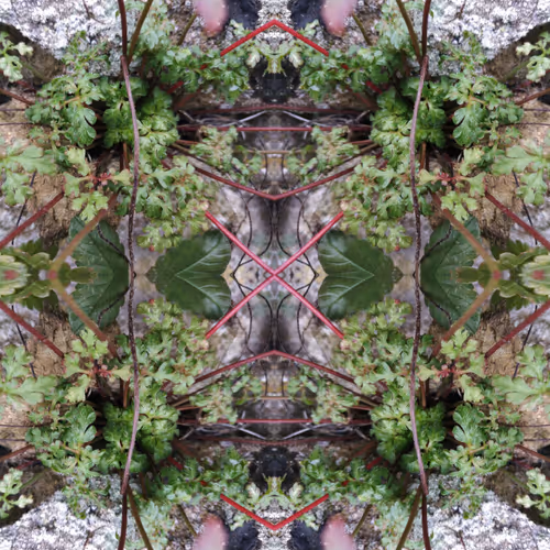 AI generated Art 2.0