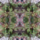 AI generated Art 2.0