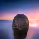 Intelligent Artificial Landscape V3 - old