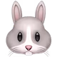 ai wan rabbit