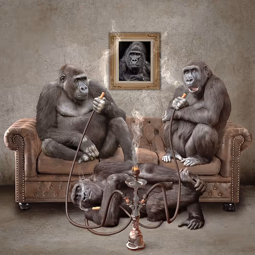 AI Arts by Anthony