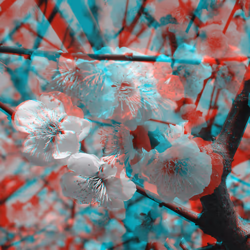 ANAGLYPH JOURNEYS PART 1    JAPAN