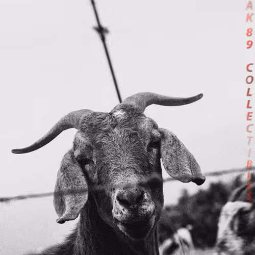 AK89 Collectibles and Rare Art