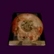 Albino-Skull-Decree