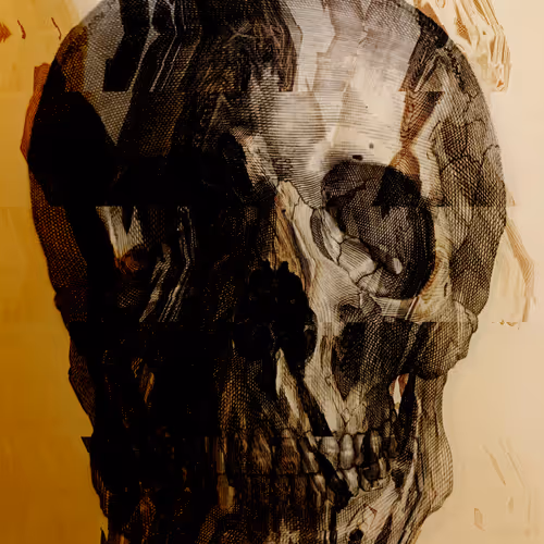 Albinus Skulls - old