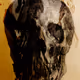 Albinus Skulls - old