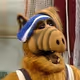 ALF Alien Life Form