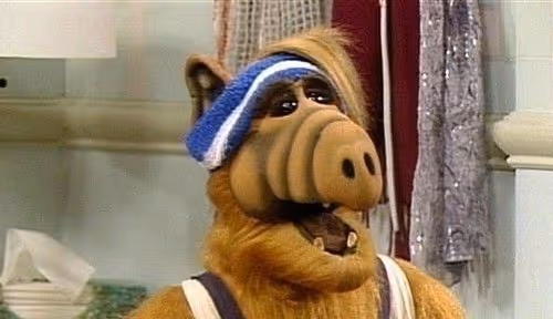 ALF Alien Life Form