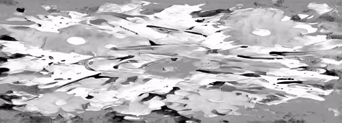 LOS ALGORITMOS DEL BOSQUE