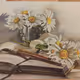 Alice's creativity