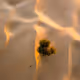 A Line in the Sand