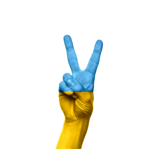 All For Ukraine Collection - old