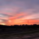 All views