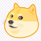 All about Doge