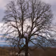 All Things Nature 101