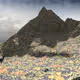 Alpen Coin Landscape