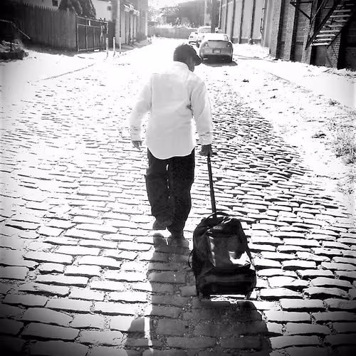 Alphadigital NFT Collections