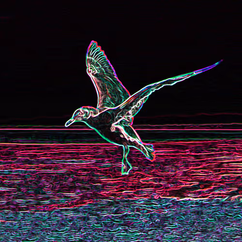 Alternative Visual Spectrums