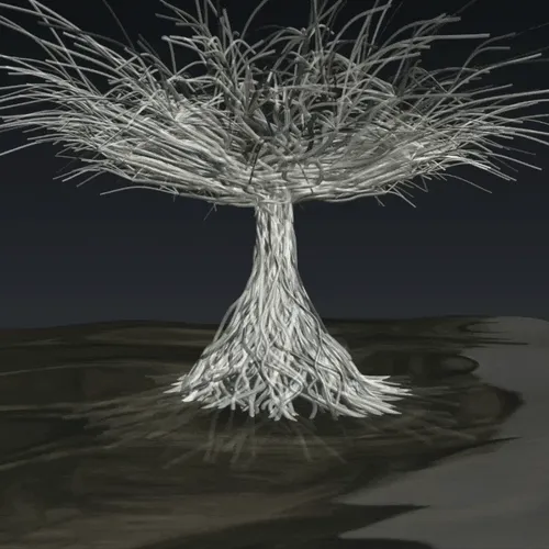 Always Has Been: Fenestra Animae