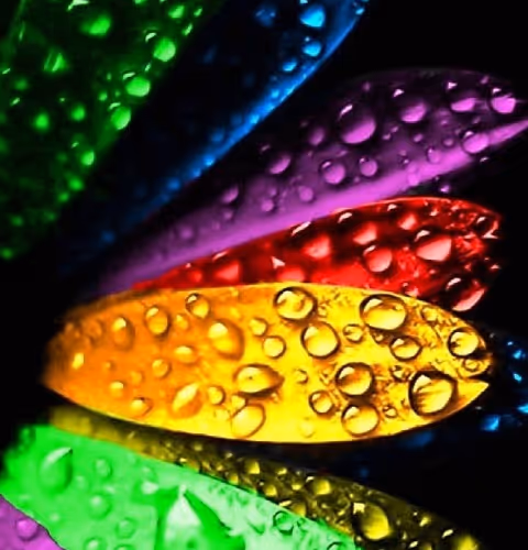 amazing creativity. Founder: Takahruen engaged in oil painting and art photography, created in NFC.