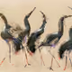 Amazing flying creatures