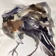 Amazing Raven