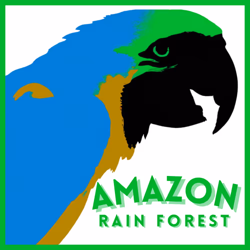 Amazon Rain Forest