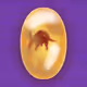 Amber Animals