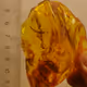 amber nft