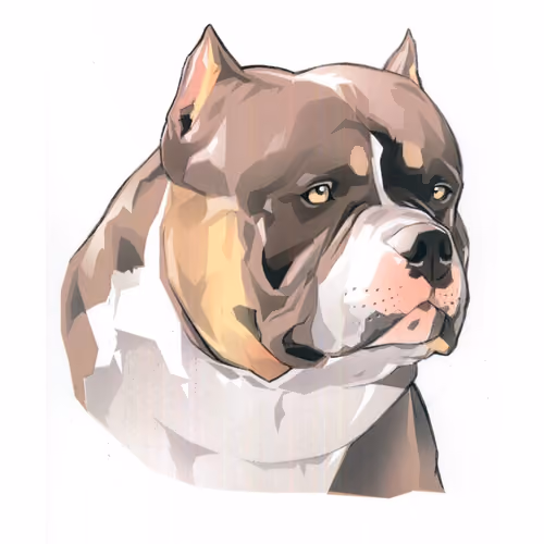 American Bully / Pit Lovers