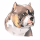 American Bully / Pit Lovers