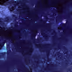 Amethyst Collection