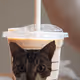 AM GM Jam Coffee Cup Fam
