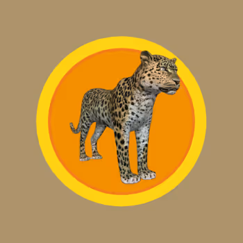 AmurLeopards