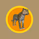 AmurLeopards