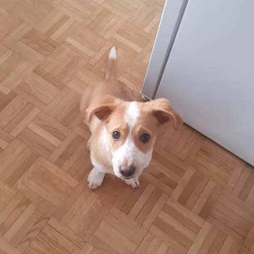 An over chink collection