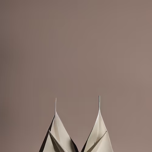 Ana Maria Caballero by Paperwork