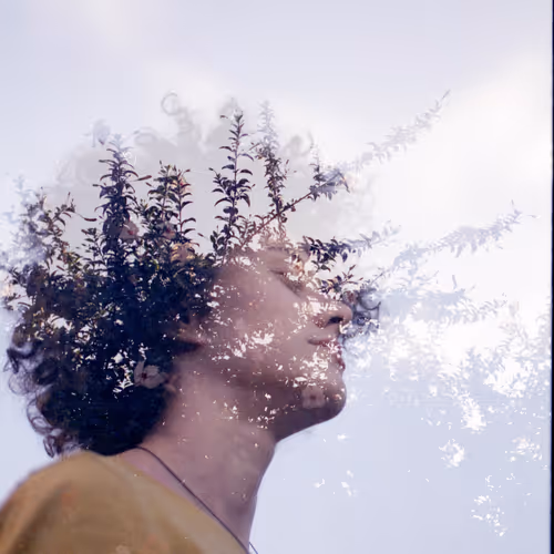 Analog dreams. - old