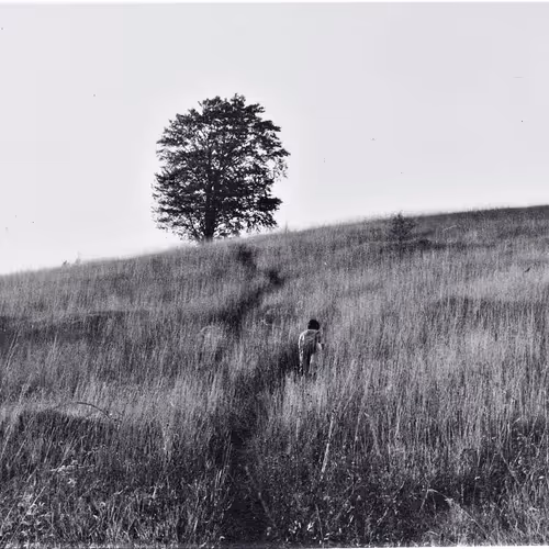 Analog Photo B/W - old
